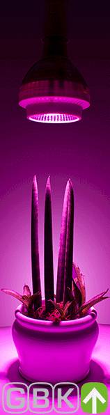 led grow lampen test 2015 led grow lampen test 2015