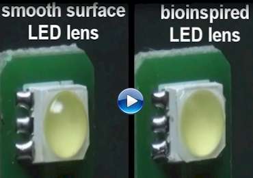 Bioinspired LED lens