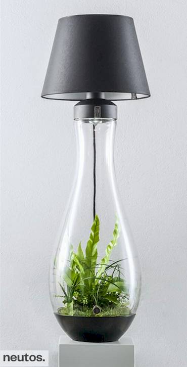 Teardrop LED-Designerpflanzenlampe